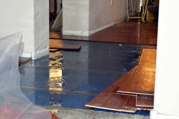 Professional Burst Pipe Cleanup technician working in Leesburg, FL